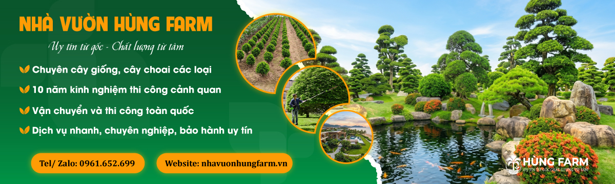 Banner trang chủ
