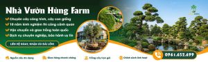 Nhà vườn Hùng Farm 